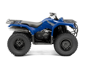 Grizzly YFM350 Grizzly YFM350