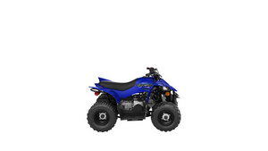 YFZ50